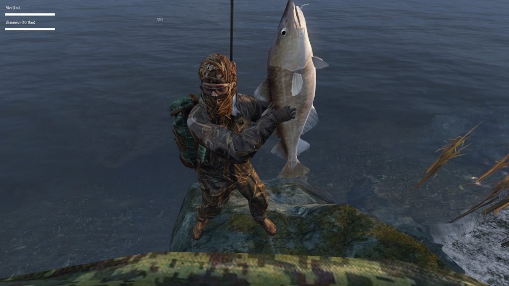 Fishing simulator games