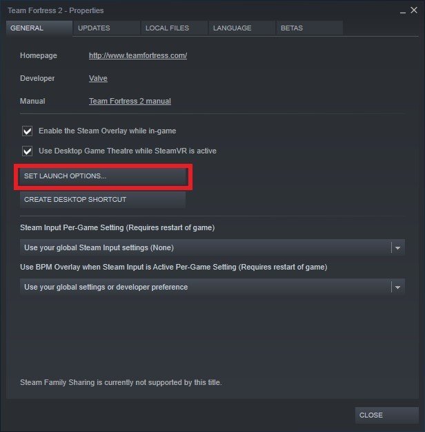 team fortress 2 steam launch options