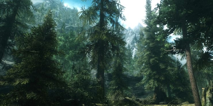 Skyrim Flora Overhaul