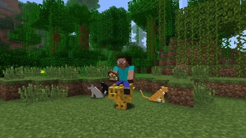 Animal Bikes