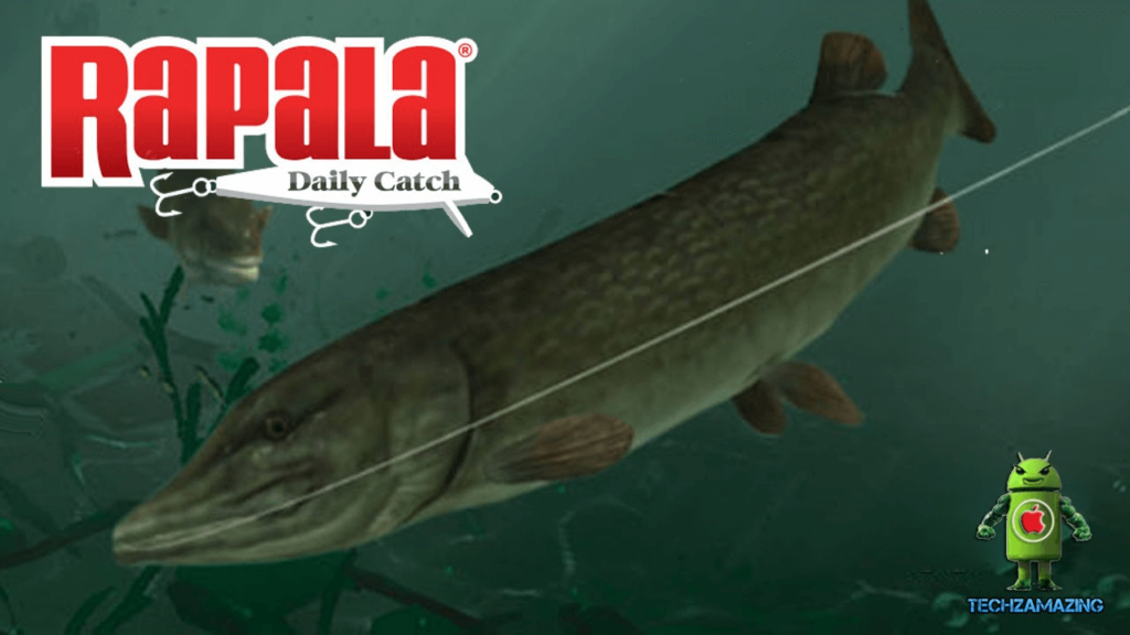 Rapala Fishing – Daily Catch