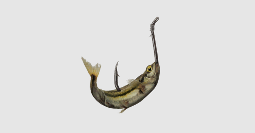 Bait